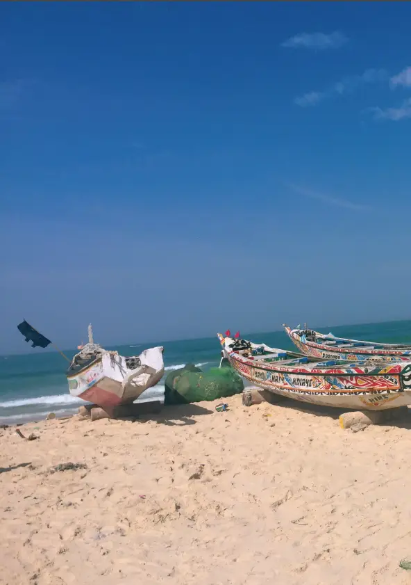 Decolonising the Politics of Climate Disasters in the Senegal Estuary