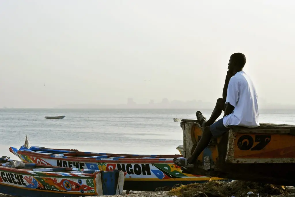 Decolonizing inclusion Pan-Africanism and the indigenous pygmy peoples of Africa