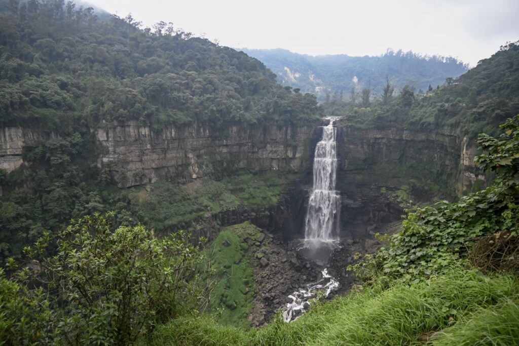 Balancing in Brazzaville: Urban Congolese Perspectives on Hedging Chinese and French Influences